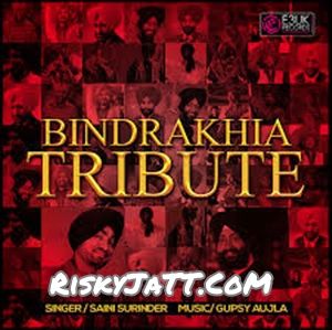 Bindrakhia Tribute Gupsy Aujla mp3 song ringtone, Bindrakhia Tribute Gupsy Aujla Ringtone Download - RiskyJatt.Com