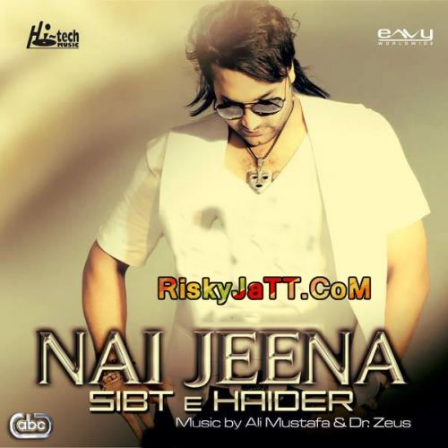 Din Pyar De Dr Zeus, Sibt E Haider mp3 song ringtone, Nai Jeena Dr Zeus, Sibt E Haider Ringtone Download - RiskyJatt.Com