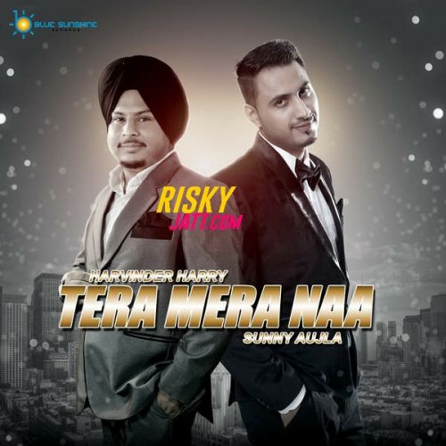 Tera Mera Naa Harvinder Harry mp3 song ringtone, Tera Mera Naa Harvinder Harry Ringtone Download - RiskyJatt.Com