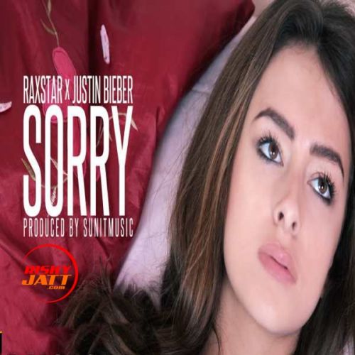 Sorry (Cover) [Part 2] Raxstar x, Justin Bieber mp3 song ringtone, Sorry (Cover) [Part 2] Raxstar x, Justin Bieber Ringtone Download - RiskyJatt.Com