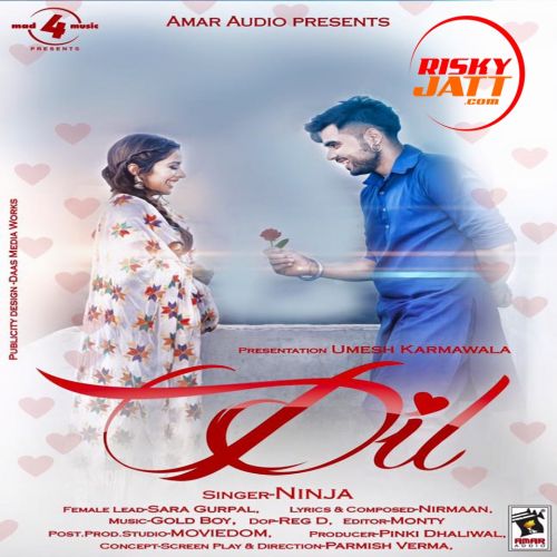 Dil Ninja mp3 song ringtone, Dil Ninja Ringtone Download - RiskyJatt.Com