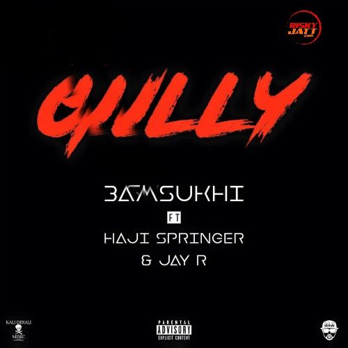 Gully Haji Springer, 3AM Sukhi, Jay R mp3 song ringtone, Gully Haji Springer, 3AM Sukhi, Jay R Ringtone Download - RiskyJatt.Com