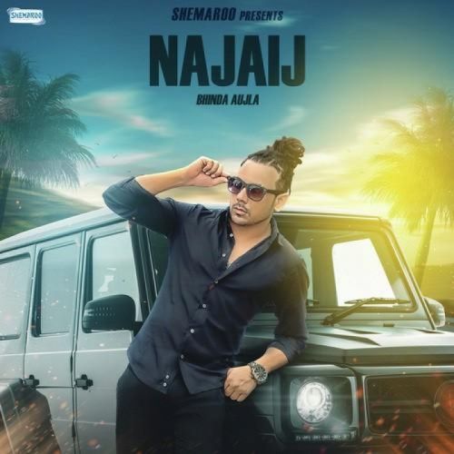 Najaij Bhinda Aujla mp3 song ringtone, Najaij Bhinda Aujla Ringtone Download - RiskyJatt.Com