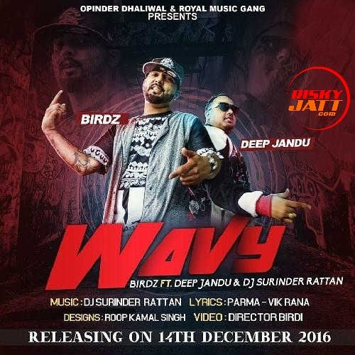 Wavy Birdz, Deep Jandu mp3 song ringtone, Wavy Birdz, Deep Jandu Ringtone Download - RiskyJatt.Com