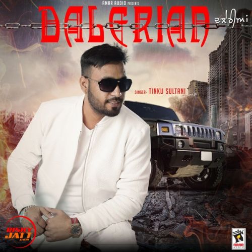 Dalerian Tinku Sultani mp3 song ringtone, Dalerian Tinku Sultani Ringtone Download - RiskyJatt.Com