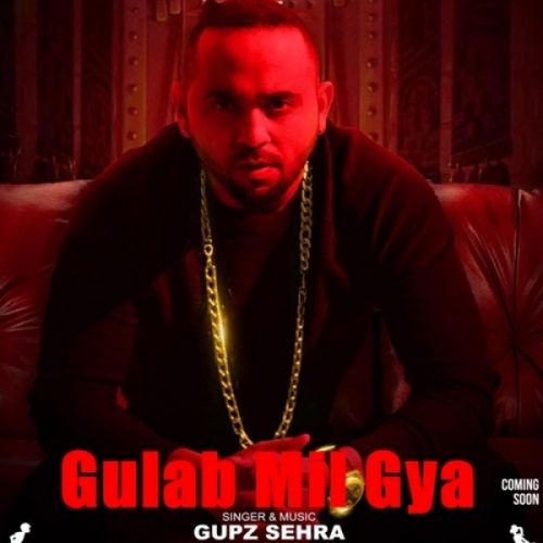 Gulab Mil Gya Gupz Sehra mp3 song ringtone, Gulab Mil Gya Gupz Sehra Ringtone Download - RiskyJatt.Com