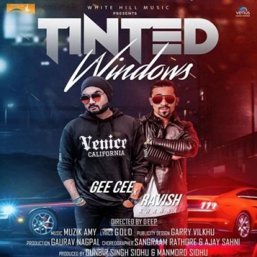 Tinted Windows Gee Cee, Ravish Khanna mp3 song ringtone, Tinted Windows Gee Cee, Ravish Khanna Ringtone Download - RiskyJatt.Com