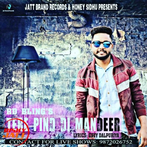 Tere pind di mandeer Rd Bling Feat Honey Sidhu mp3 song ringtone, Tere pind di mandeer Rd Bling Feat Honey Sidhu Ringtone Download - RiskyJatt.Com