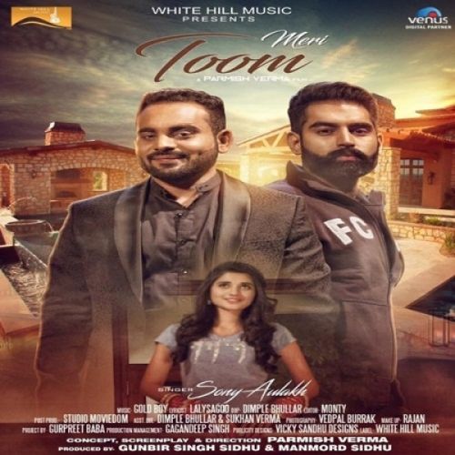 Meri Toom Sony Aulakh mp3 song ringtone, Meri Toom Sony Aulakh Ringtone Download - RiskyJatt.Com