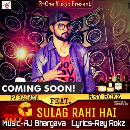 G Sulag Rahi Hai PJ Kasana Ft. Rey Rokz mp3 song ringtone, G Sulag Rahi Hai PJ Kasana Ft. Rey Rokz Ringtone Download - RiskyJatt.Com