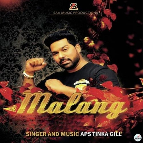 Malang APS Tinka Gill mp3 song ringtone, Malang APS Tinka Gill Ringtone Download - RiskyJatt.Com