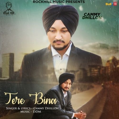 Tere Bina Cammy Dhillon mp3 song ringtone, Tere Bina Cammy Dhillon Ringtone Download - RiskyJatt.Com