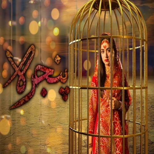 Pinjra Rahat Fateh Ali Khan, Noraan Laal mp3 song ringtone, Pinjra Rahat Fateh Ali Khan, Noraan Laal Ringtone Download - RiskyJatt.Com