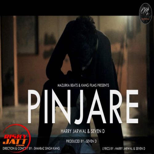 Pinjare Narci, Harry Jarwal, Seven D mp3 song ringtone, Pinjare Narci, Harry Jarwal, Seven D Ringtone Download - RiskyJatt.Com