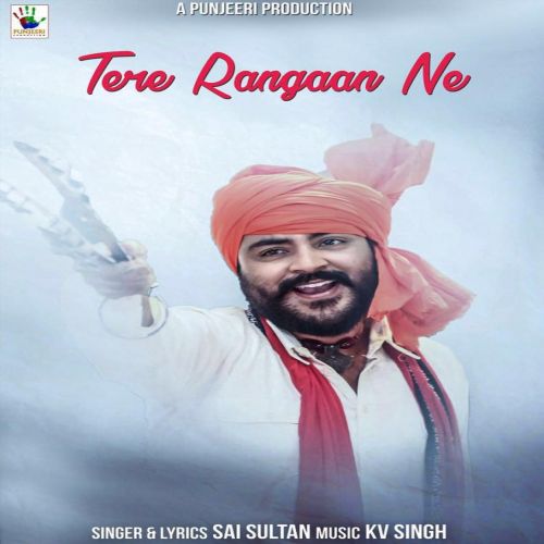 Tere Rangaan Ne Sai Sultan mp3 song ringtone, Tere Rangaan Ne Sai Sultan Ringtone Download - RiskyJatt.Com