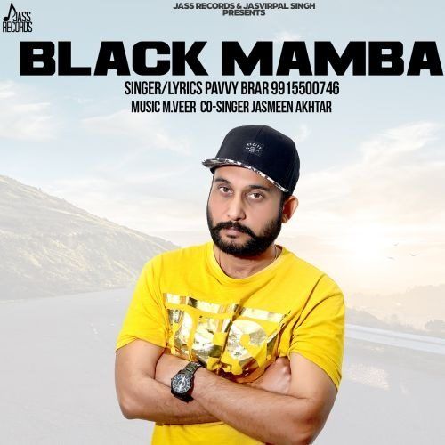 Black Mamba Pavvy Brar mp3 song ringtone, Black Mamba Pavvy Brar Ringtone Download - RiskyJatt.Com