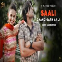 Saali Chandigarh Aali Vinu Gaur mp3 song ringtone, Saali Chandigarh Aali Vinu Gaur Ringtone Download - RiskyJatt.Com