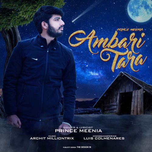 Ambari Tara Prince Meenia mp3 song ringtone, Ambari Tara Prince Meenia Ringtone Download - RiskyJatt.Com