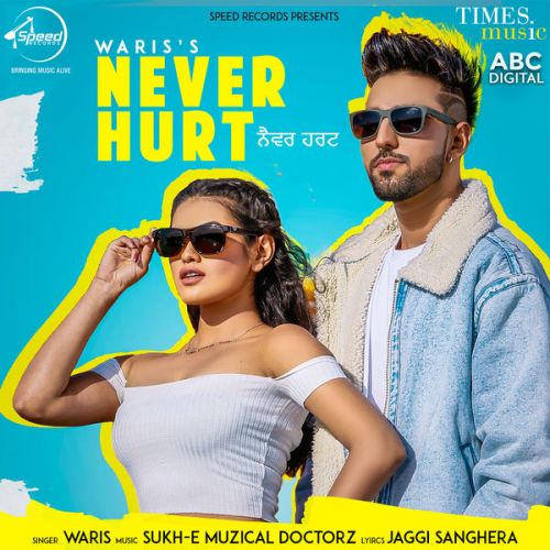 Never Hurt Waris, Sukh E Muzical Doctorz mp3 song ringtone, Never Hurt Waris, Sukh E Muzical Doctorz Ringtone Download - RiskyJatt.Com