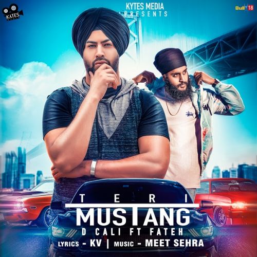 Teri Mustang Fateh, D Cali mp3 song ringtone, Teri Mustang Fateh, D Cali Ringtone Download - RiskyJatt.Com