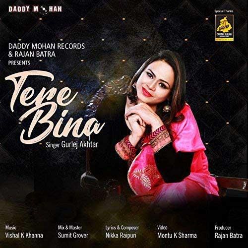 Tere Bina Gurlez Akhtar mp3 song ringtone, Tere Bina Gurlez Akhtar Ringtone Download - RiskyJatt.Com