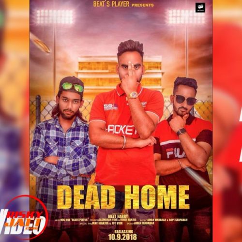 Dead Home Meet Harry mp3 song ringtone, Dead Home Meet Harry Ringtone Download - RiskyJatt.Com