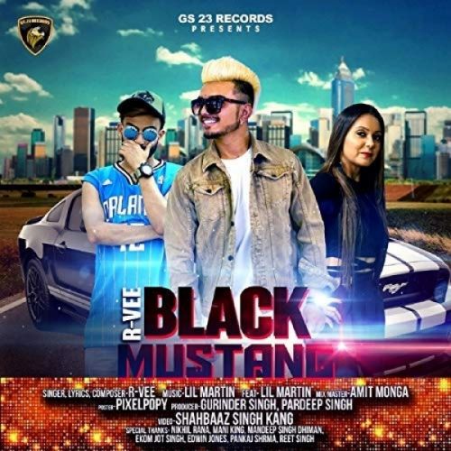 Black Mustang R Vee mp3 song ringtone, Black Mustang R Vee Ringtone Download - RiskyJatt.Com