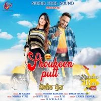 Shoukeen Putt M Saabh, Sudesh Kumari mp3 song ringtone, Shoukeen Putt M Saabh, Sudesh Kumari Ringtone Download - RiskyJatt.Com