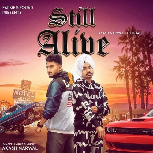 Still Alive Akash Narwal, Lil Jay mp3 song ringtone, Still Alive Akash Narwal, Lil Jay Ringtone Download - RiskyJatt.Com