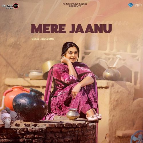 Mere Jaanu Nisha Bano mp3 song ringtone, Mere Jaanu Nisha Bano Ringtone Download - RiskyJatt.Com