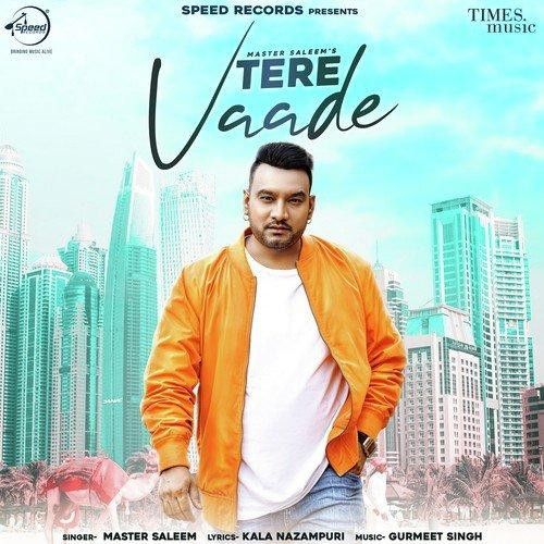 Tere Vaade Master Saleem mp3 song ringtone, Tere Vaade Master Saleem Ringtone Download - RiskyJatt.Com