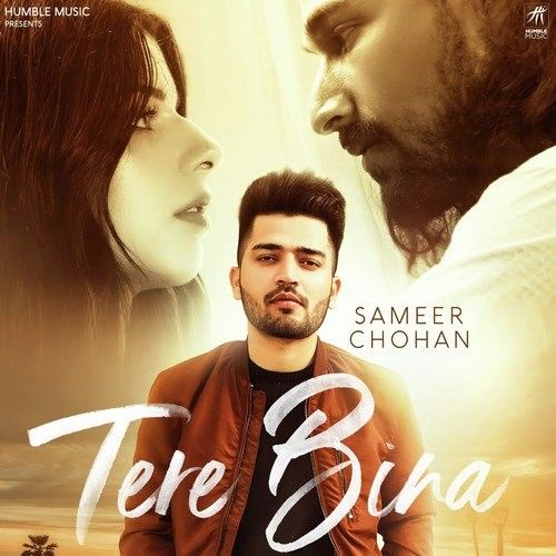 Tere Bina Sameer Chohan mp3 song ringtone, Tere Bina Sameer Chohan Ringtone Download - RiskyJatt.Com