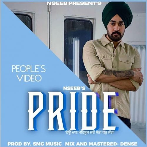 Pride Nseeb mp3 song ringtone, Pride Nseeb Ringtone Download - RiskyJatt.Com