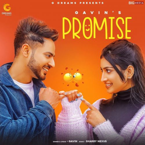 Promise Gavin mp3 song ringtone, Promise Gavin Ringtone Download - RiskyJatt.Com