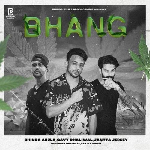 Bhang Bhinda Aujla, Gavy Dhaliwal mp3 song ringtone, Bhang Bhinda Aujla, Gavy Dhaliwal Ringtone Download - RiskyJatt.Com