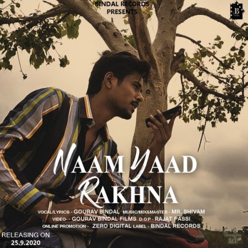 Naam Yaad Rakhna Gourav Bindal mp3 song ringtone, Naam Yaad Rakhna Gourav Bindal Ringtone Download - RiskyJatt.Com