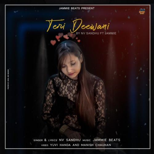 Teri Deewani Nv Sandhu mp3 song ringtone, Teri Deewani Nv Sandhu Ringtone Download - RiskyJatt.Com