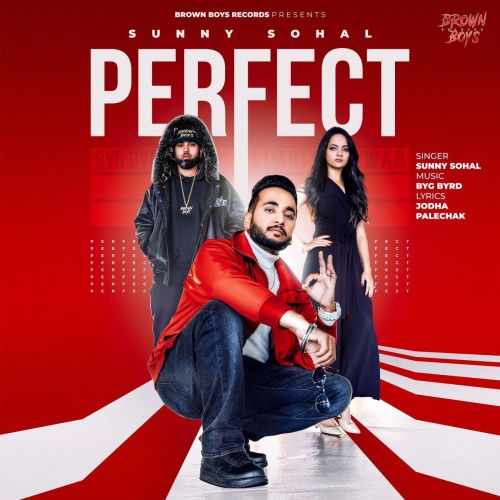 Perfect Sunny Sohal mp3 song ringtone, Perfect Sunny Sohal Ringtone Download - RiskyJatt.Com