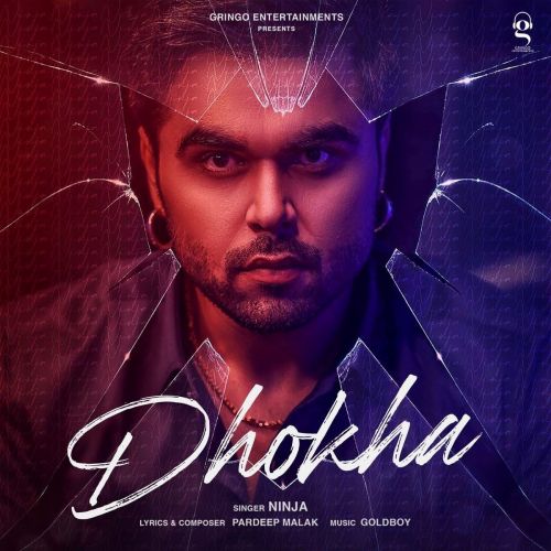 Dhokha Ninja mp3 song ringtone, Dhokha Ninja Ringtone Download - RiskyJatt.Com