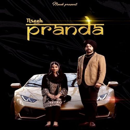 Paranda Nseeb mp3 song ringtone, Paranda Nseeb Ringtone Download - RiskyJatt.Com