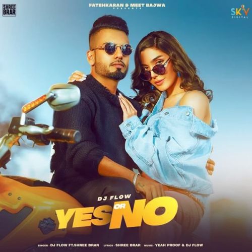 Yes or No DJ Flow, Shree Brar mp3 song ringtone, Yes or No DJ Flow, Shree Brar Ringtone Download - RiskyJatt.Com