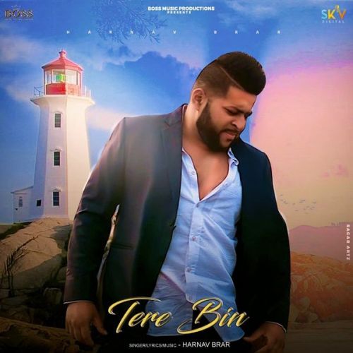 Tere Bin Harnav Brar mp3 song ringtone, Tere Bin Harnav Brar Ringtone Download - RiskyJatt.Com