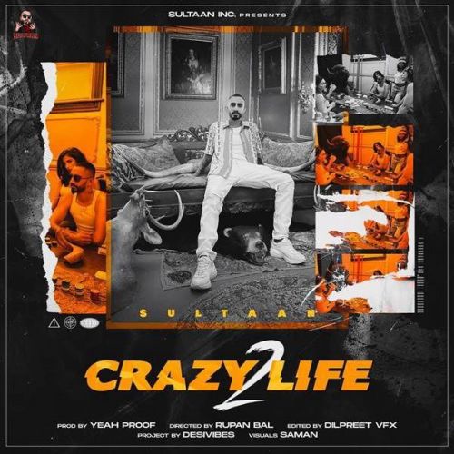 Crazy Life 2 Sultaan mp3 song ringtone, Crazy Life 2 Sultaan Ringtone Download - RiskyJatt.Com