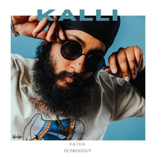 Kalli Fateh mp3 song ringtone, Kalli Fateh Ringtone Download - RiskyJatt.Com