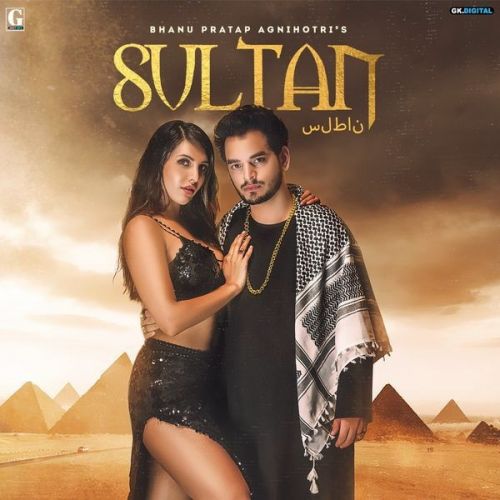 Sultan Bhanu Pratap Agnihotri mp3 song ringtone, Sultan Bhanu Pratap Agnihotri Ringtone Download - RiskyJatt.Com