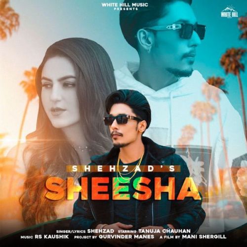 Sheesha Shehzad mp3 song ringtone, Sheesha Shehzad Ringtone Download - RiskyJatt.Com