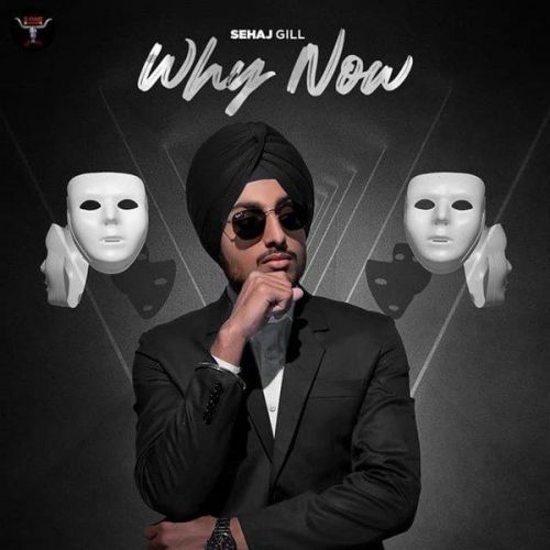 Why Now Sehaj Gill mp3 song ringtone, Why Now Sehaj Gill Ringtone Download - RiskyJatt.Com