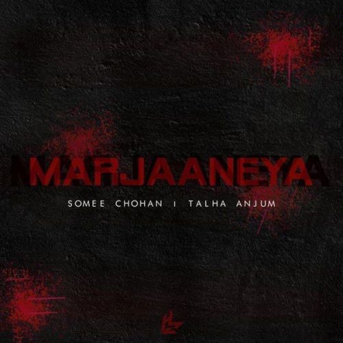 Marjaaneya Somee Chohan, Talha Anjum mp3 song ringtone, Marjaaneya Somee Chohan, Talha Anjum Ringtone Download - RiskyJatt.Com