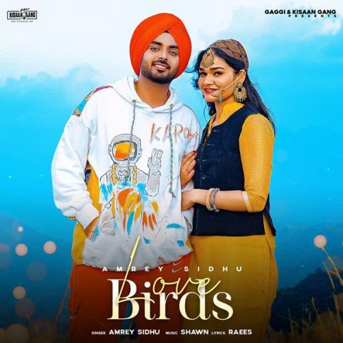 Love Birds Amrey Sidhu mp3 song ringtone, Love Birds Amrey Sidhu Ringtone Download - RiskyJatt.Com