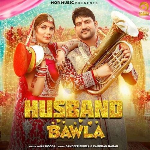 Husband Bawla Sandeep Surila mp3 song ringtone, Husband Bawla Sandeep Surila Ringtone Download - RiskyJatt.Com